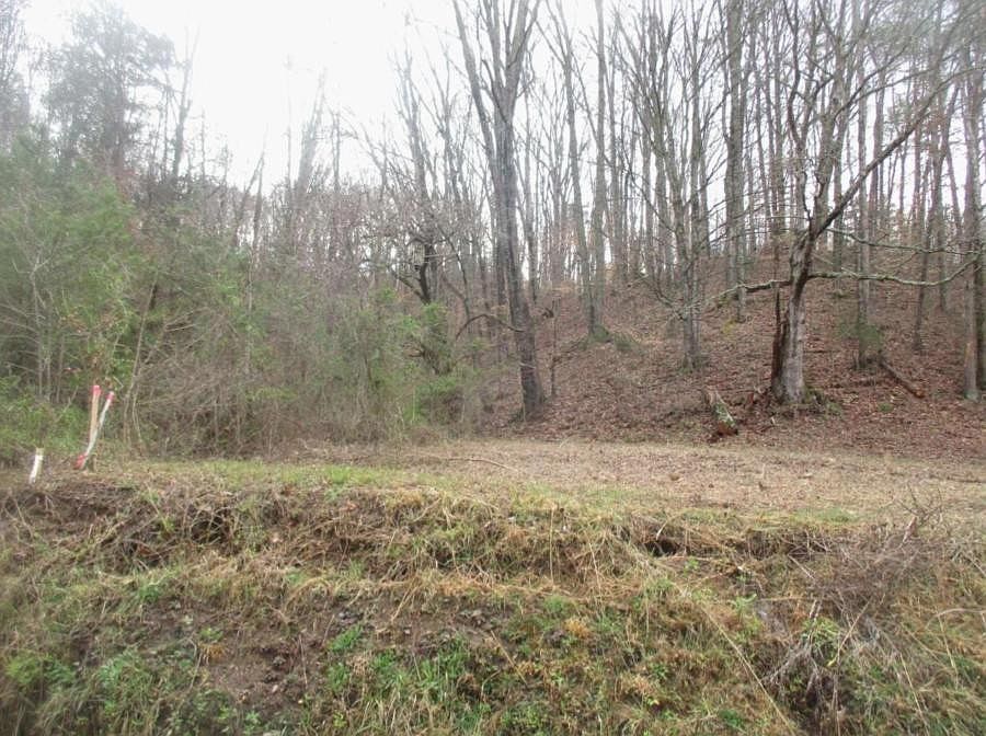 1st image of 0 Pumpkin Hollow Rd