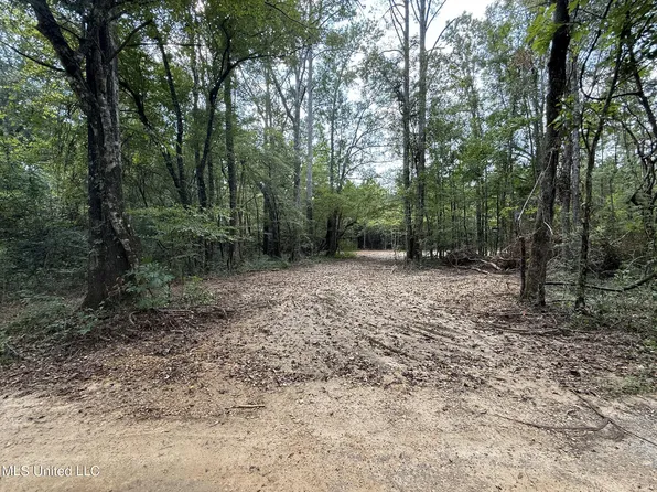SW Dalton Ln, Smithdale, MS 39664