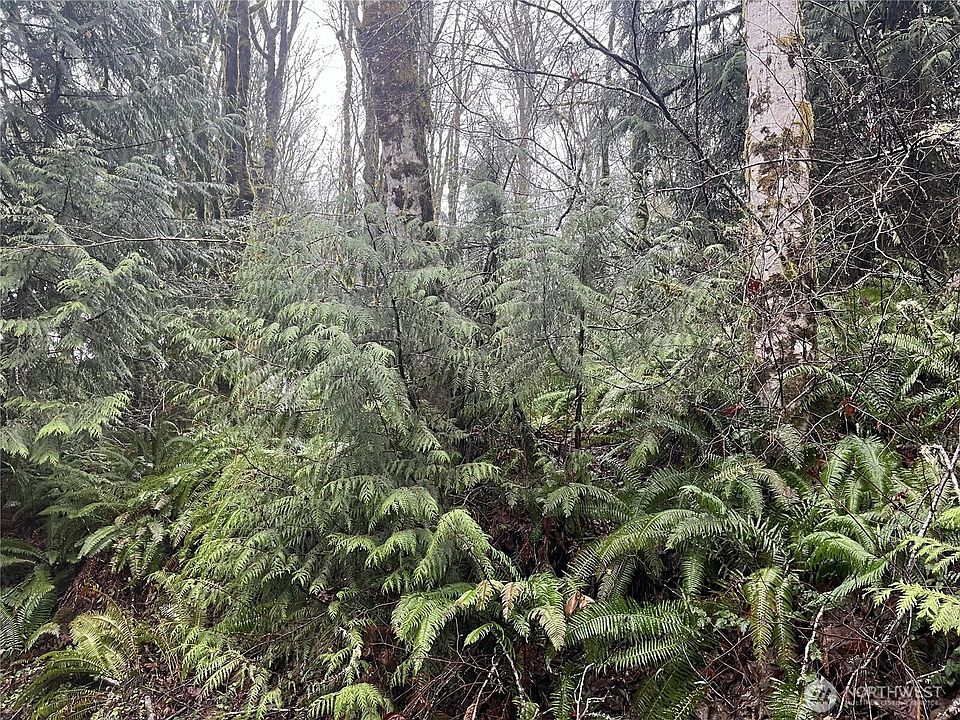 2nd image of 2601 Stonecrest Lane NW