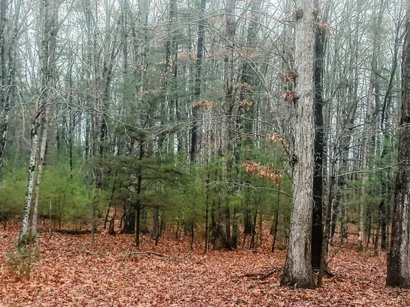 0 Ivy Hill Ln Lot 6, Monroe, VA 24574