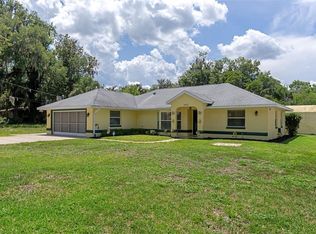 2472 County Road 447, Lake Panasoffkee, FL 33538