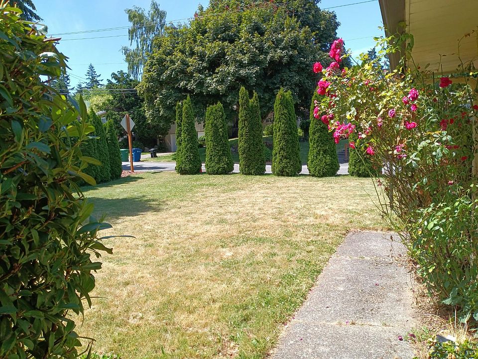 Front door looking out at front yard
