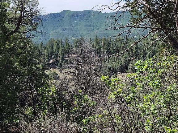 4th image of 99 Cheyenne Dr