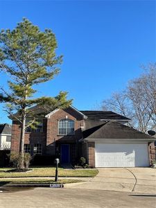 1417 Canton Cir, Rosenberg, TX, 77471