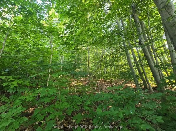 126 Old Highway 26 Hwy, Meaford, ON N4L 1W7