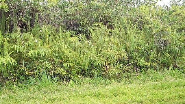 1st image of Ainaloa Dr Lot 5