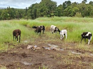 Overview Road Luna Ike, Volcano, HI 96785