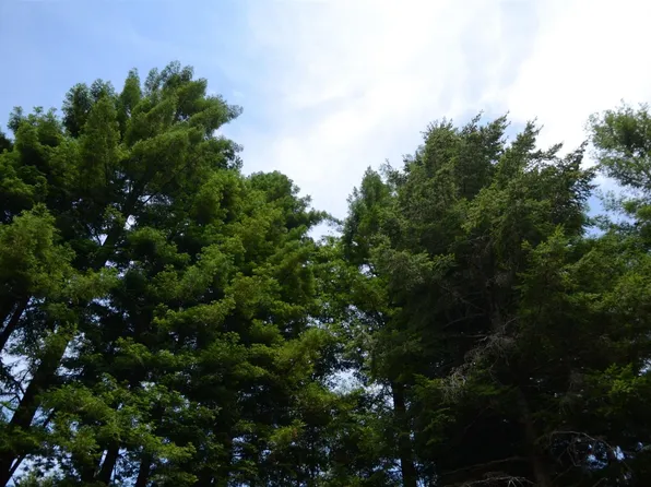 LOT 46 Speer Dr, Crescent City, CA 95531
