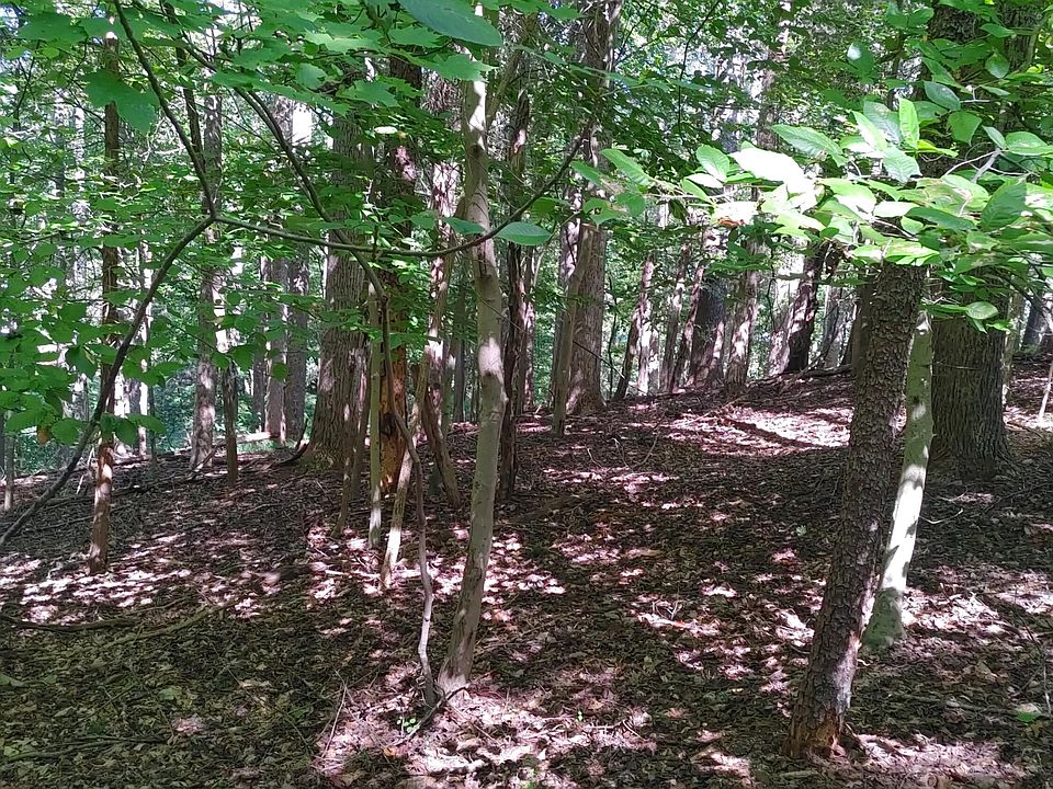 2nd image of LOT 53 Ridgeway Ct