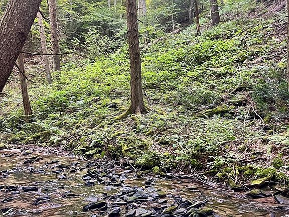 2nd image of 22 Beech Creek Mountain Rd