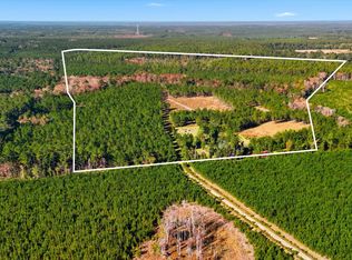 815 Rentz Dr, Walterboro, SC 29488