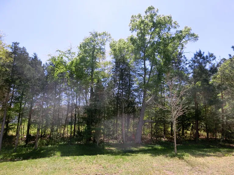 15713 Lakepoint Forest Dr — Photo 10