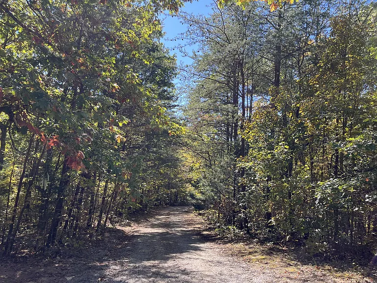 9125 Asheville Hwy — Photo 35