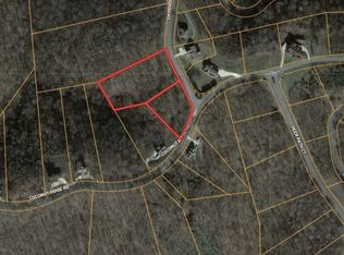 0 Davidson Rd, Smithville, TN 37166