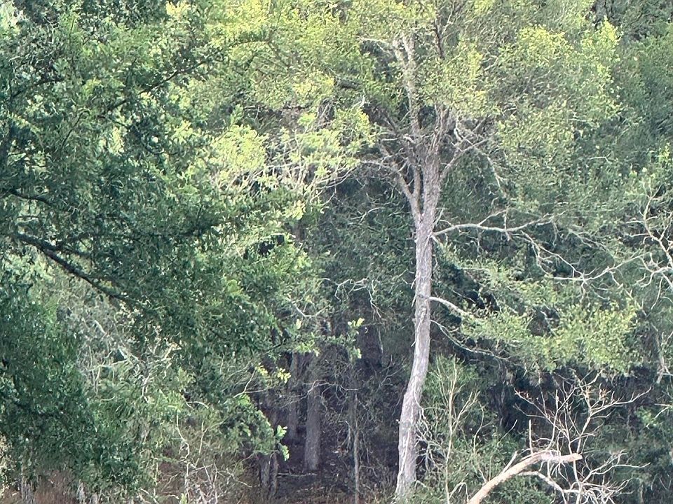 1st image of LOT 676 Kaukonahua Ln
