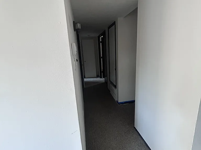 1202 Morning Dr — Photo 6