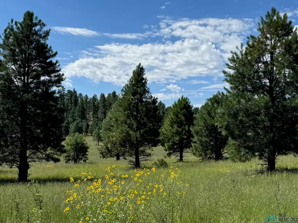 23 Mail Hollow Trl, Luna, NM 87824