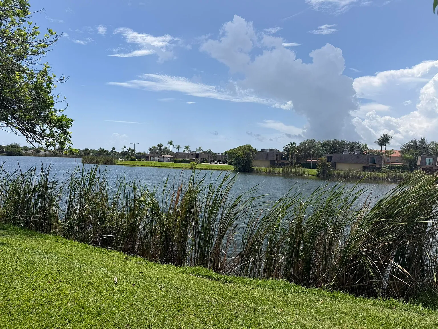 2 bed, 2.0 bath, 951 sqft, $2,200 — Photo 3