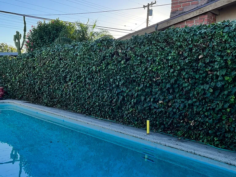 14472 Bora Dr — Photo 3