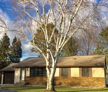 407 NE 9th St, Grand Rapids, MN, 55744