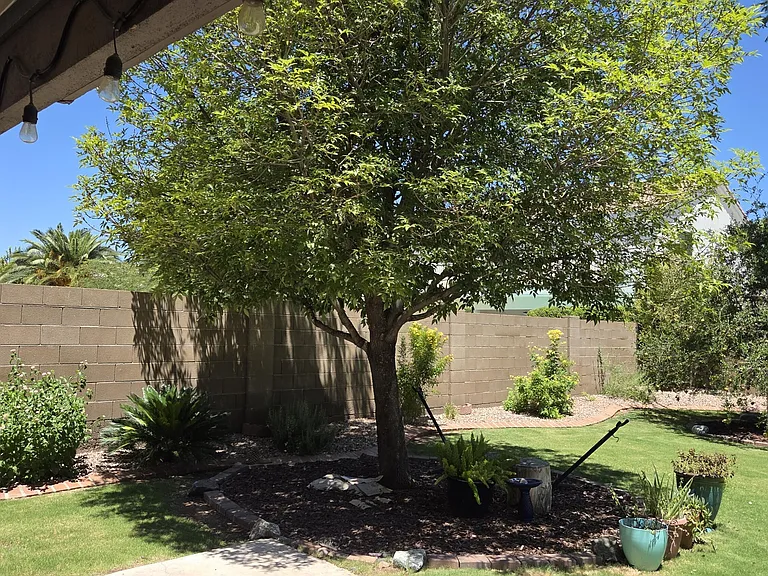 3020 E Friess Dr — Photo 41