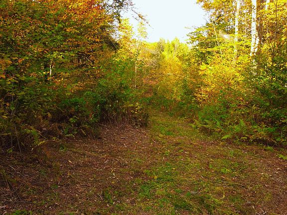 2nd image of 463 Old Talc Mine Road