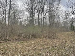 Chambers Rd, Mayville, MI 48744