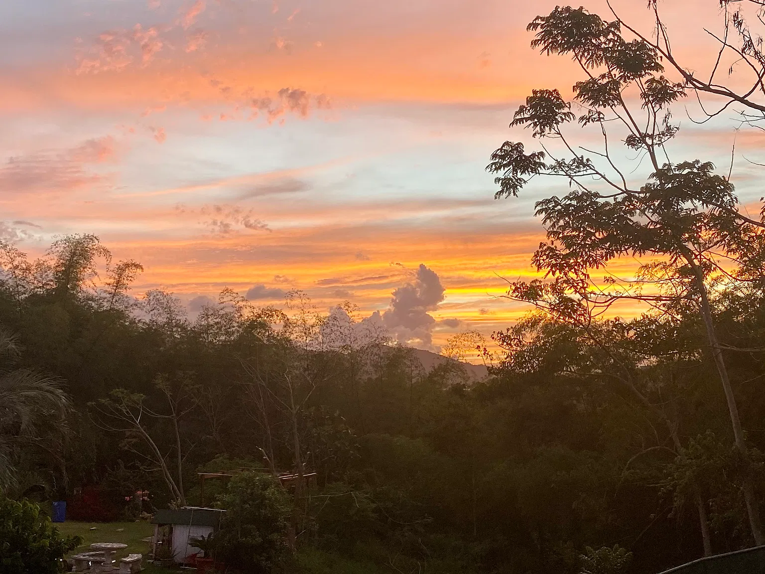 Carr, Caguas — Photo 2