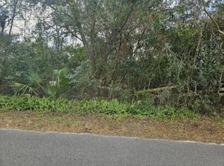 11119 Bessie Dix Rd, Seffner, FL 33584