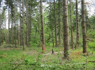 130 Dunivan Rd, Vader, WA 98593