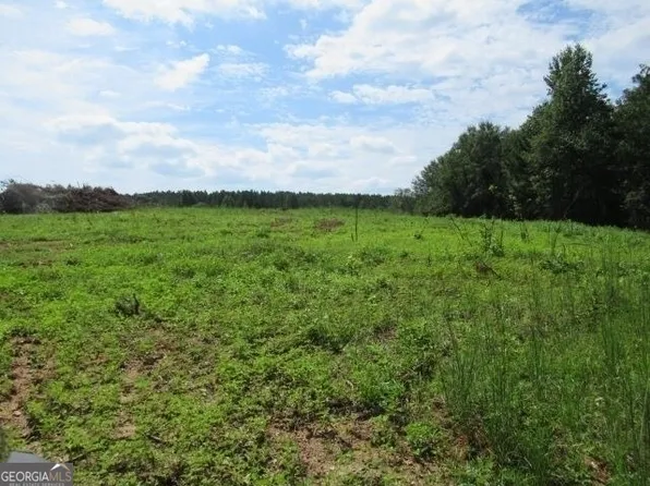 101 Winding Rd Lot 4, Bowdon, GA 30108