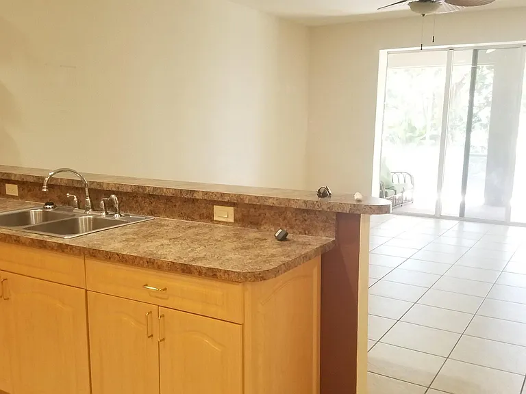 Pine Tree Dr — Photo 2