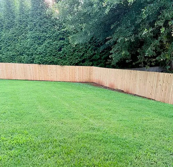 920 Charles Hall Dr — Photo 5