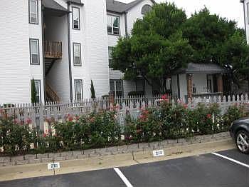1st image of 3201 Jade Ct APT 204