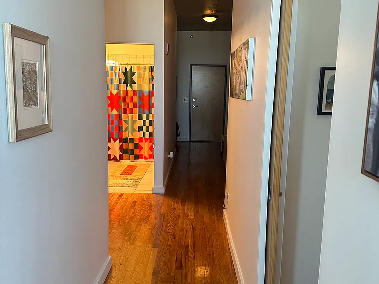 1720 S Michigan Ave #1517 — Photo 11