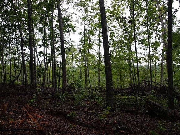 3rd image of 650 Ridge Rd