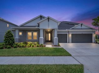 33875 Castaway Loop, Wesley Chapel, FL 33543