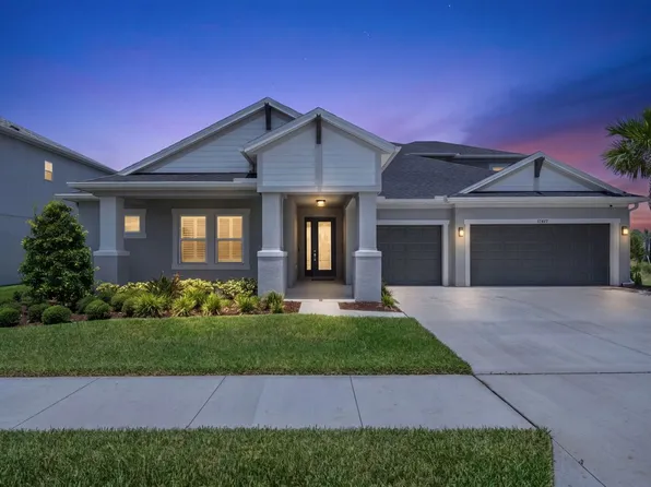 33875 Castaway Loop, Wesley Chapel, FL 33543