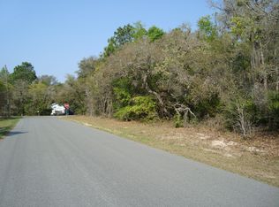 595 E Wacker St, Hernando, FL 34442