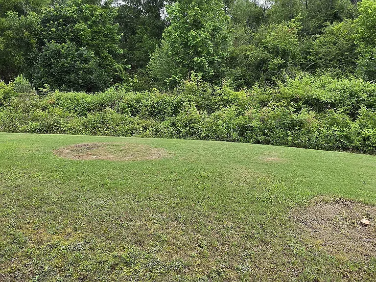 241 Crisfield Cir — Photo 2