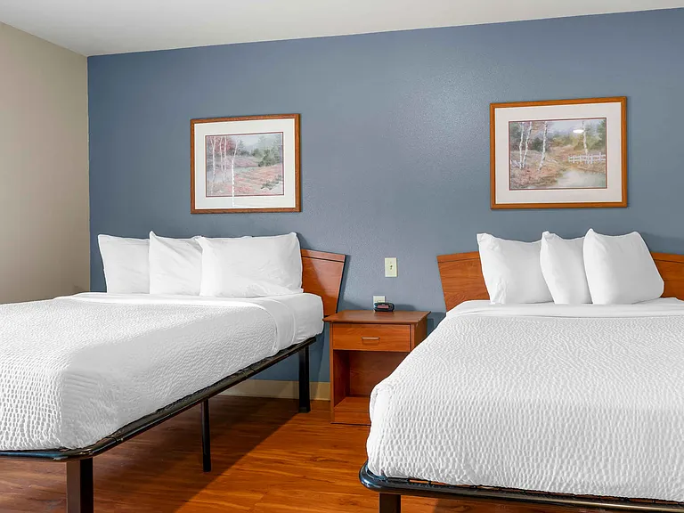 Studio Suite - 2 Full Beds
