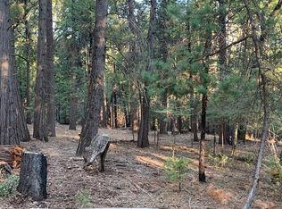 19251 Golden Meadow Dr, Volcano, CA 95689