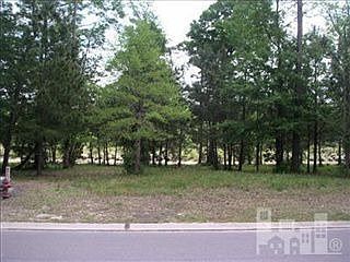 2nd image of 203 Sycamore Forest Dr