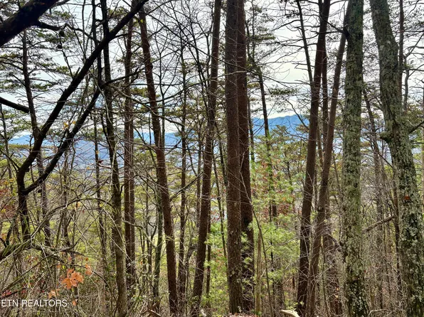Lot36r Mountain Retreat Rd, Townsend, TN 37882