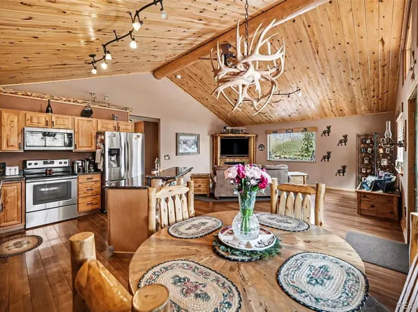 28 Juniper Way, Bailey, CO 80421