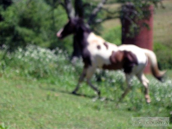 5th image of Tbd Campbell Glen Lane