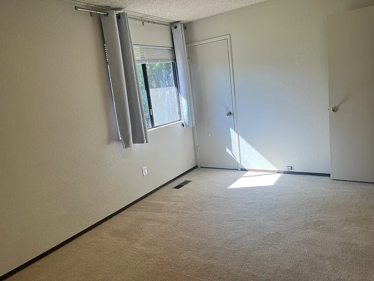161 Peach Ter — Photo 26
