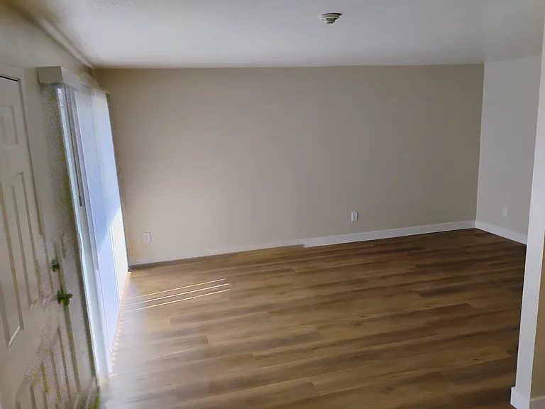 Pine Wild Apartments — Photo 19