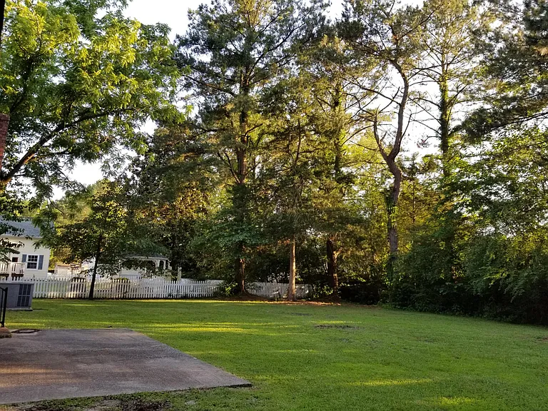 Backyard