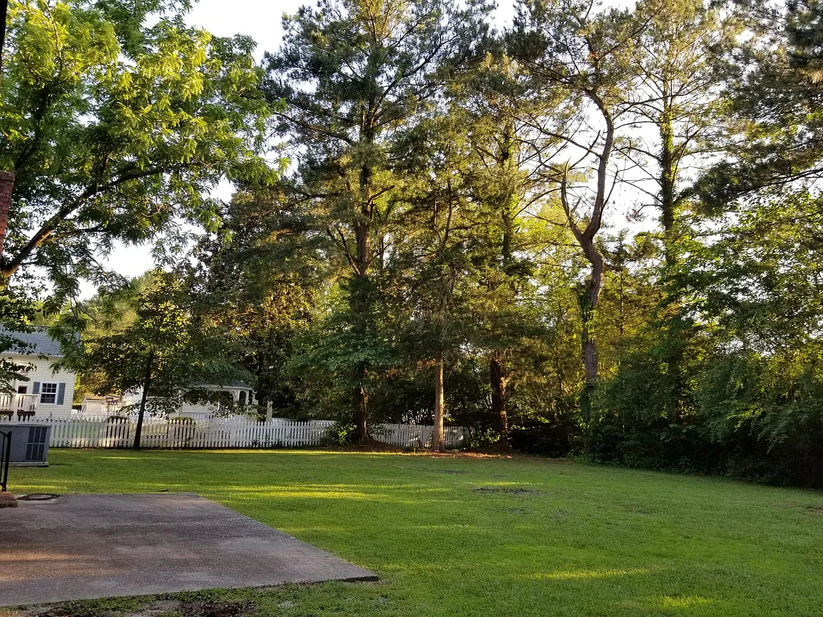 Backyard - 211 Avalon Ln